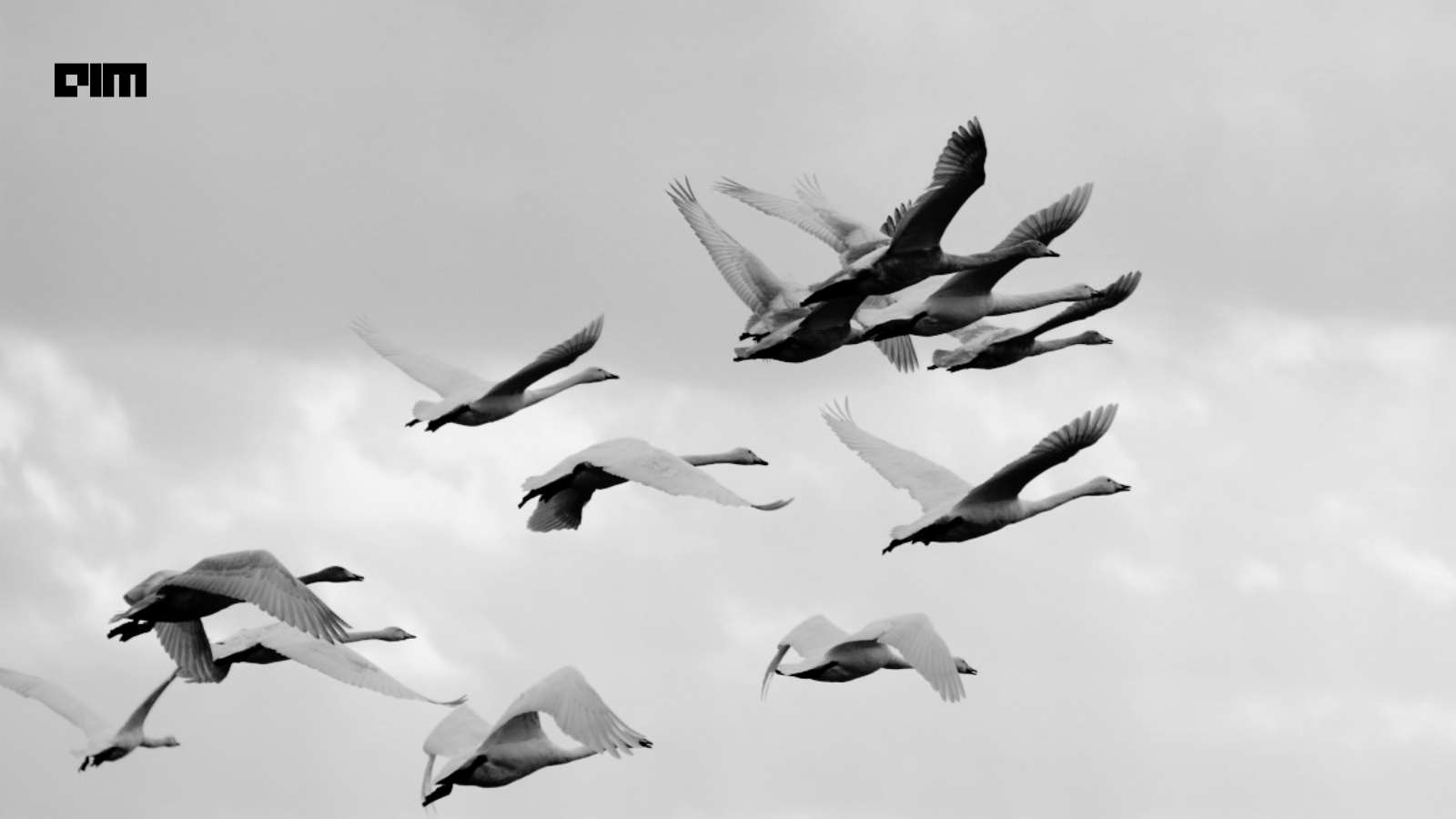 AI Systems Turn Wildlife Migration Data Into Real-Time Conservation Decisions