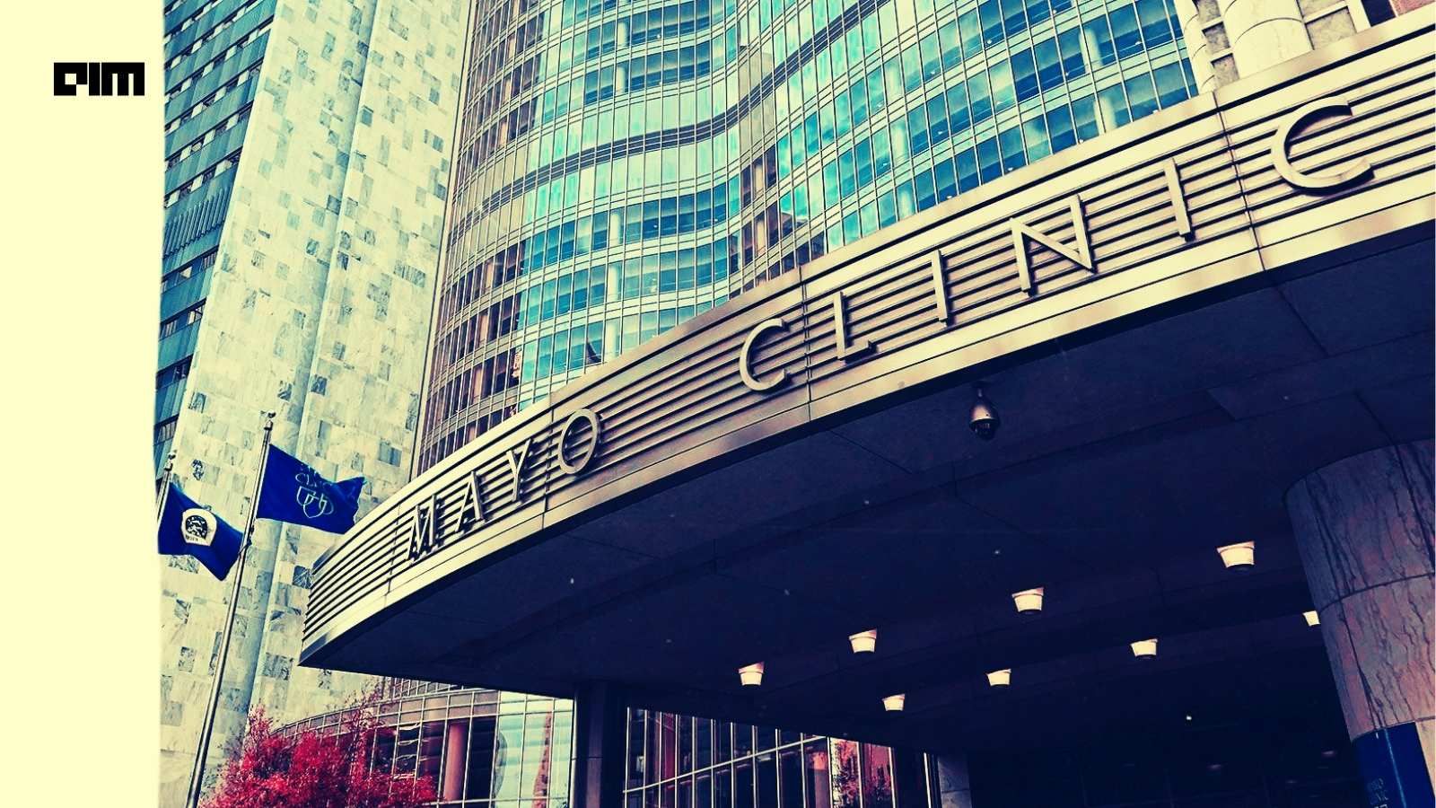 Mayo Clinic Names New CIO As It Expands Its AI Strategy
