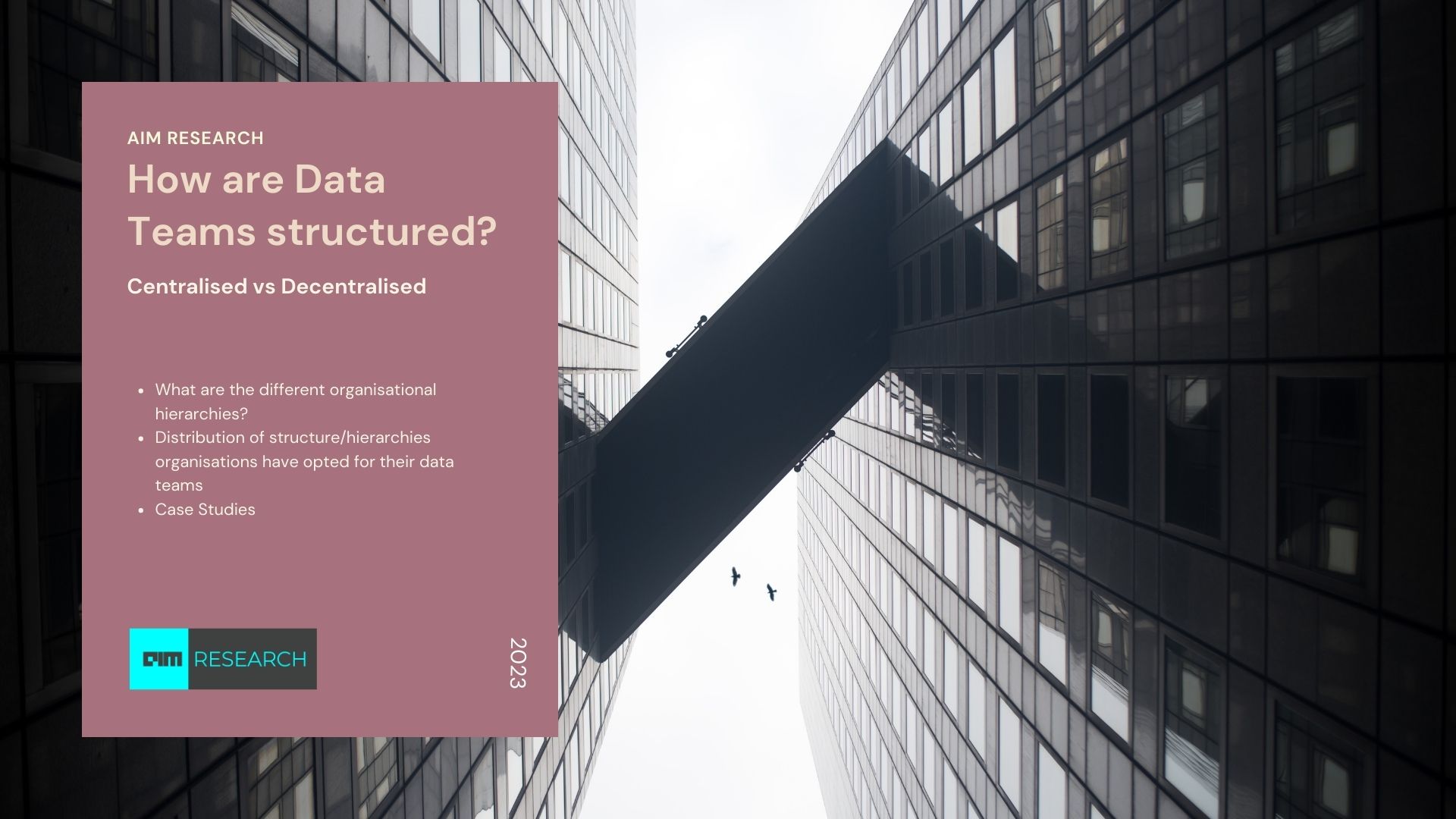 How are Data Teams Structured for Success?